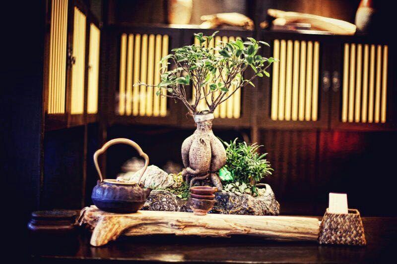 Ningbo Zhengfang Inn Bagian luar foto